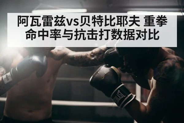 阿瓦雷兹vs贝特比耶夫 重拳命中率与抗击打数据对比