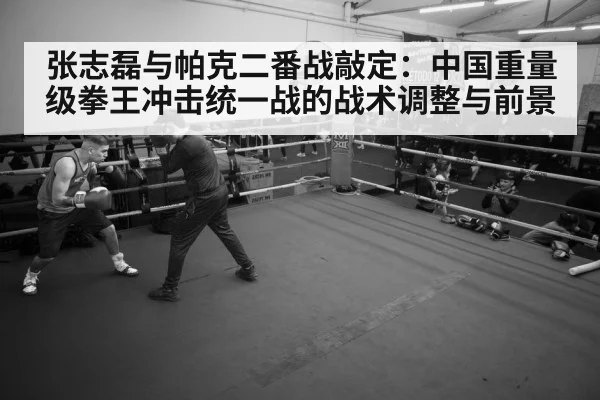 boxer training gym
