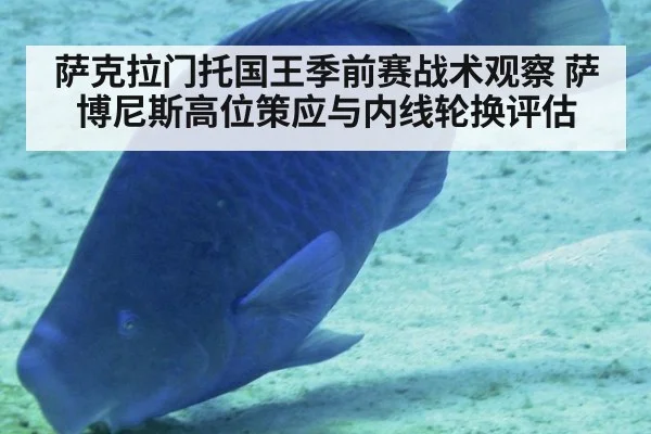 萨克拉门托国王季前赛战术观察 萨博尼斯高位策应与内线轮换评估